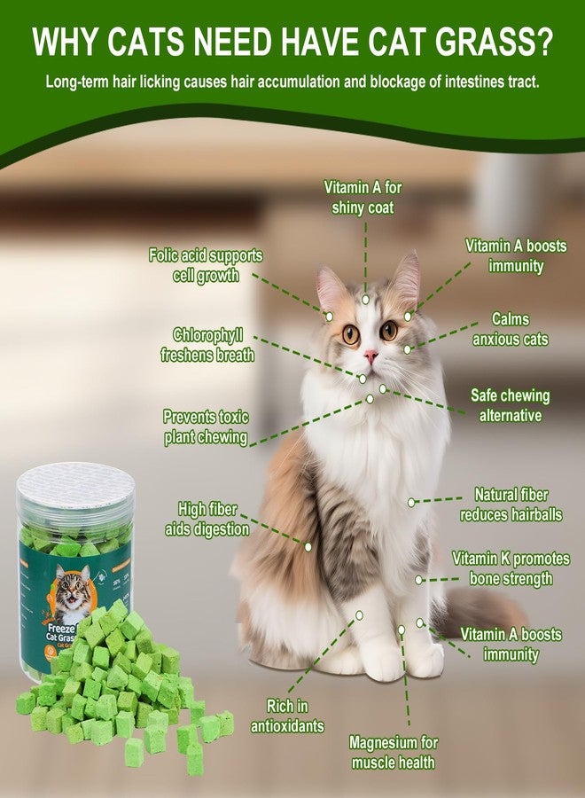 SuPruida 100g Freeze-Dried Cat Grass Treats, Natural Hairball Treatment for Cats, Edible Cats Chew Toy Cat Treats Snack for Teething Cleaning Hairball Removal - Image 5